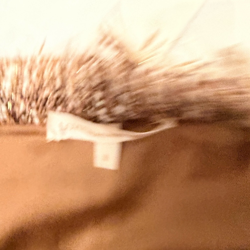 LoveShackFancy Fringed Mini Skirt in Beige and Black - Picture 5 of 5